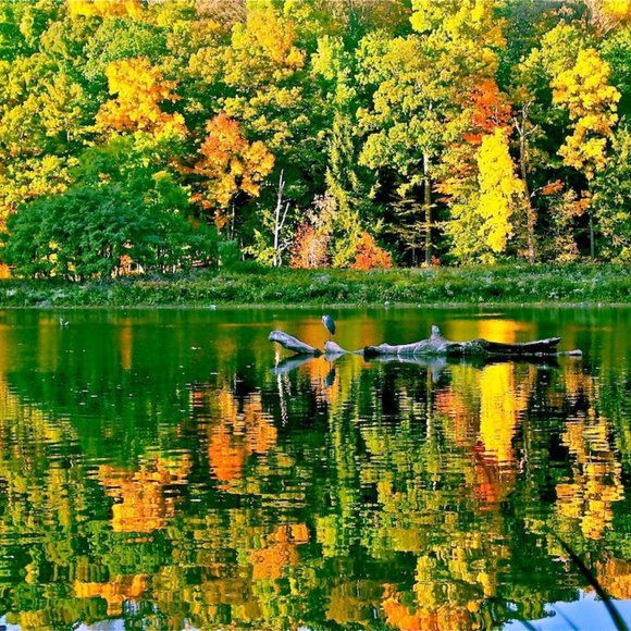 Meet your Posher, Laura - Picture 1 of 1